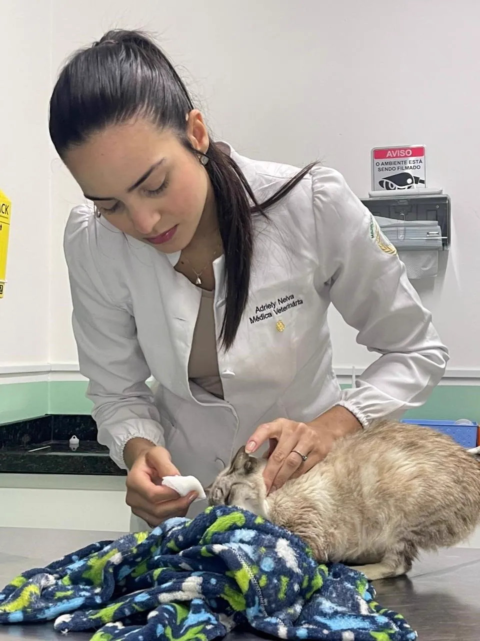 Dra. Adriely Neiva cuidando de um gato na Todah Pets